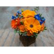 900066